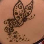 снимка на пеперуда Мехенди от 01.08.2017 г. №071 - Пеперуда Мехенди_