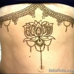 снимка на цвете Mehendi от 16.08.2017 г. No 138 - цвете Mehendi_