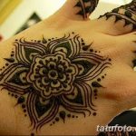 снимка на цветето Mehendi от 16.08.2017 г. №003 - цвете Mehendi_