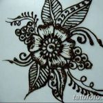 снимка на цвете Mehendi от 16.08.2017 г. №006 - цвете Mehendi_