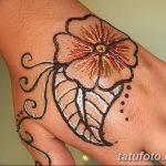 снимка на цвете Mehendi от 16.08.2017 г. No 018 - цвете Mehendi_