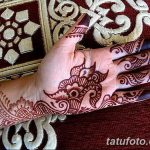 снимка на цвете Mehendi от 16.08.2017 г. No 071 - цвете Mehendi_
