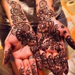 снимка на цвете Mehendi от 16.08.2017 г. №086 - цвете Mehendi_