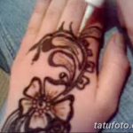 снимка на цвете Mehendi от 16.08.2017 г. №096 - цвете Mehendi_