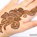 снимка на цвете Mehendi от 16.08.2017 г. No 102 - цвете Mehendi_