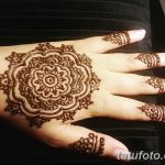 снимка на цвете Mehendi от 16.08.2017 г. No 105 - цвете Mehendi_