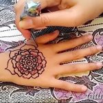 снимка на цвете Mehendi от 16.08.2017 г. No 122 - цвете Mehendi_