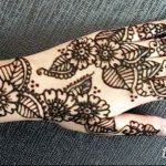 снимка на цвете Mehendi от 16.08.2017 г. No 123 - цвете Mehendi_