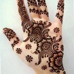 снимка на цвете Mehendi от 16.08.2017 г. No 136 - цвете Mehendi_
