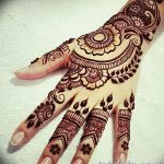 снимка на цвете Mehendi от 16.08.2017 г. No 137 - цвете Mehendi_