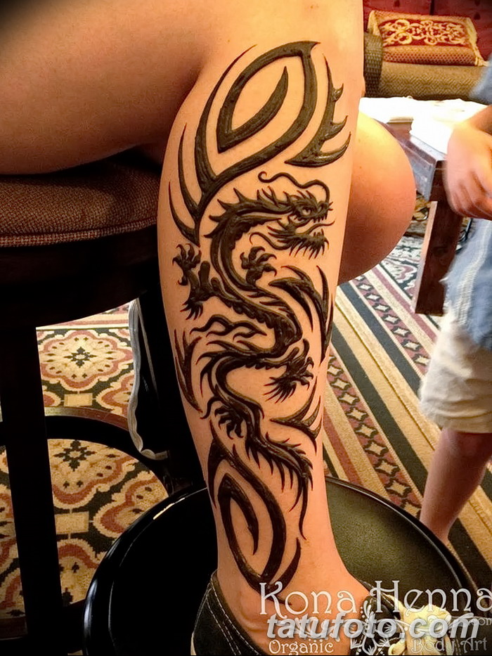 снимка драконова къна от 02.02.2017 г. No 013 - Драконова къна_