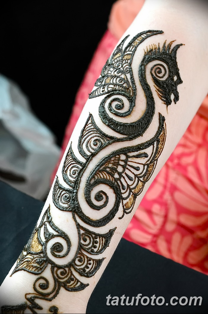 снимка драконова къна от 02.08.2017 №028 - Драконова къна_