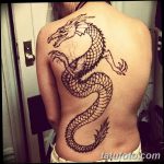 снимка драконова къна от 02.08.2017 №107 - Драконова къна_