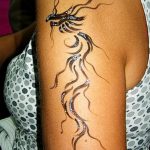 снимка драконова къна от 02.08.2017 №001 - Драконова къна_