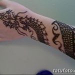 снимка драконова къна от 02.08.2017 г. №003 - Драконова къна_