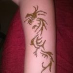 снимка драконова къна от 02.08.2017 №011 - Драконова къна_