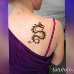 снимка драконова къна от 02.02.2017 г. No 012 - Драконова къна_