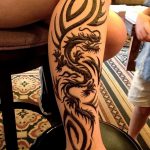 снимка драконова къна от 08/02/2017 No 013 - Драконова къна_