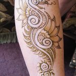 снимка драконова къна от 02.08.2017 №014 - Драконова къна_