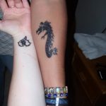 снимка драконова къна от 02.08.2017 №015 - Драконова къна_