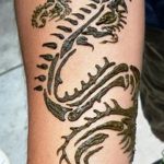 снимка драконова къна от 02.08.2017 №016 - Драконова къна_