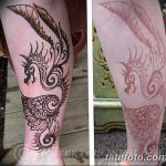 снимка драконова къна от 02.08.2017 №020 - Драконова къна_