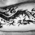 снимка драконова къна от 02.08.2017 №023 - Драконова къна_