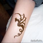 снимка драконова къна от 02.08.2017 №027 - Драконова къна_