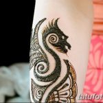 снимка драконова къна от 02.08.2017 №029 - Драконова къна_