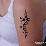 снимка драконова къна от 02.08.2017 №030 - Драконова къна_