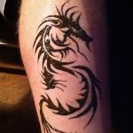 снимка драконова къна от 08/02/2017 No 032 - Драконова къна_