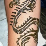 снимка драконова къна от 02.08.2017 №033 - Драконова къна_