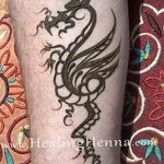 снимка драконова къна от 02.08.2017 №036 - Драконова къна_