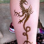 снимка драконова къна от 02.02.2017 г. No 042 - Драконова къна_