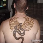 снимка драконова къна от 02.08.2017 №046 - Драконова къна_