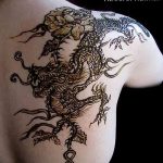 снимка драконова къна от 08/02/2017 No 048 - Драконова къна_