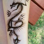 снимка драконова къна от 02.08.2017 №049 - Драконова къна_