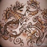 снимка драконова къна от 02.08.2017 №050 - Драконова къна_