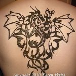 снимка драконова къна от 02.08.2017 №054 - Драконова къна_