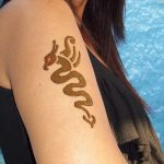 снимка драконова къна от 02.02.2017 г. No 055 - Драконова къна_