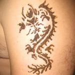 снимка драконова къна от 02.08.2017 №056 - Драконова къна_