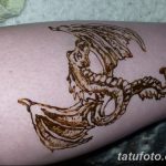 снимка драконова къна от 02.02.2017 г. No 057 - Драконова къна_