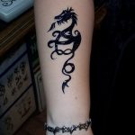 снимка драконова къна от 08/02/2017 No 059 - Драконова къна_