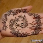 снимка драконова къна от 02.08.2017 №063 - Драконова къна_