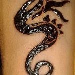 снимка драконова къна от 02.08.2017 №064 - Драконова къна_