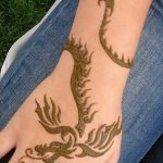 снимка драконова къна от 02.08.2017 №069 - Драконова къна_