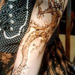 снимка драконова къна от 02.08.2017 №070 - Драконова къна_