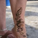 снимка драконова къна от 08/02/2017 No 072 - Драконова къна_