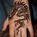 снимка драконова къна от 08/02/2017 No 073 - Драконова къна_