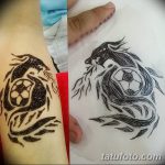 снимка драконова къна от 02.08.2017 №075 - Драконова къна_